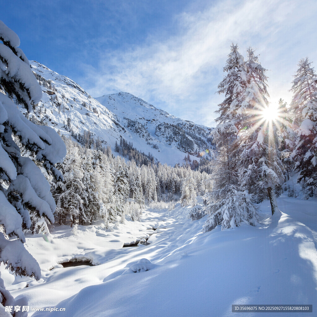 冬日雪山林间的灿烂阳光