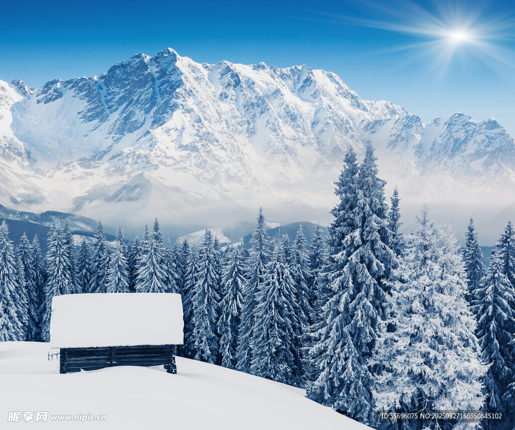 雪覆山林中的静谧小屋