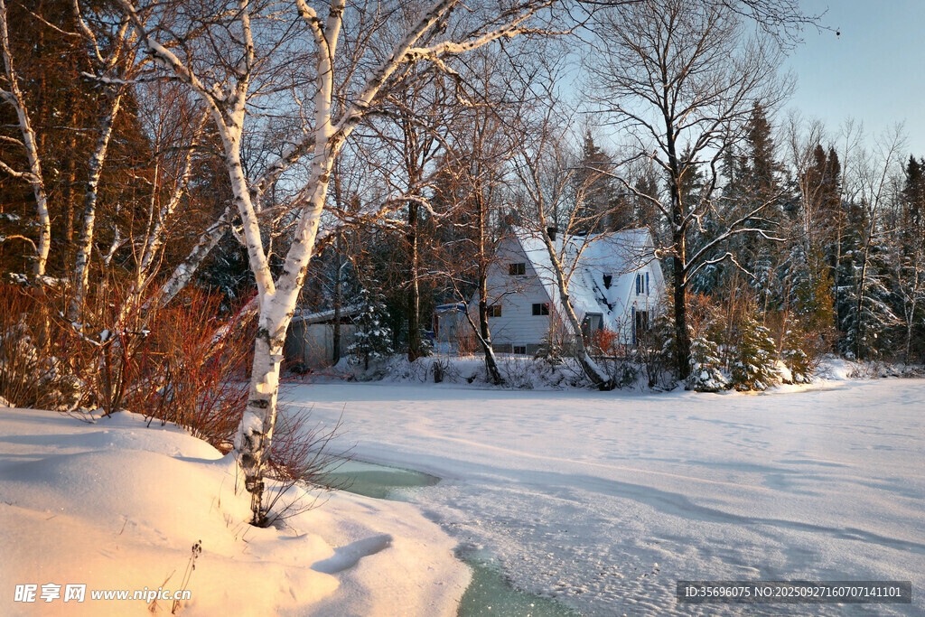 冬日雪中小屋静谧美景