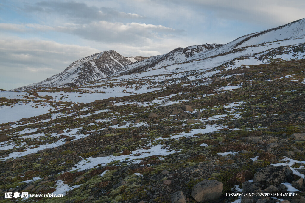 雪山下的广袤山地景观