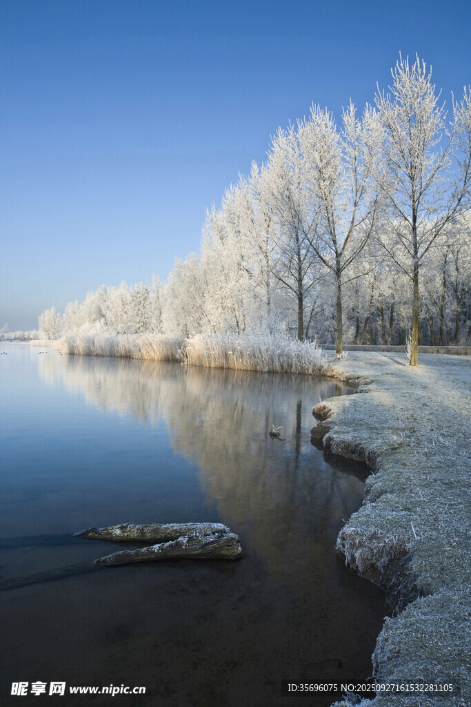 冬日湖畔雪景