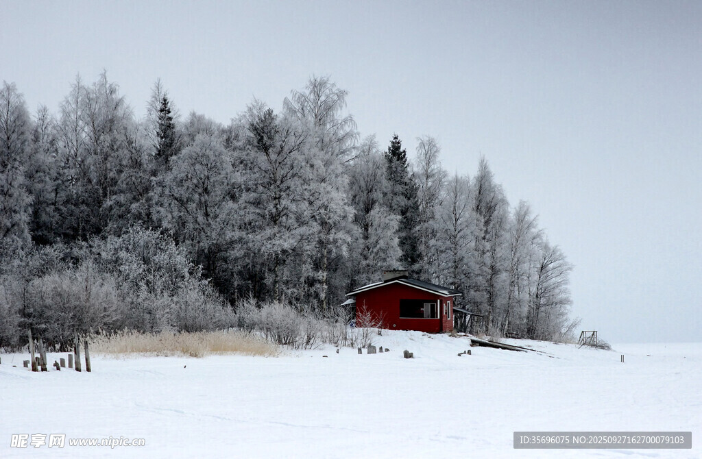 雪覆树林中的红色小屋