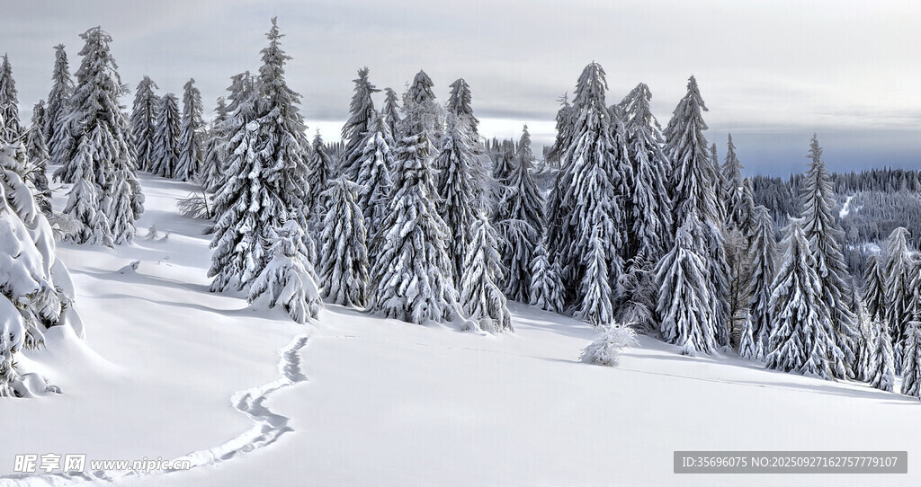 雪覆山林美景