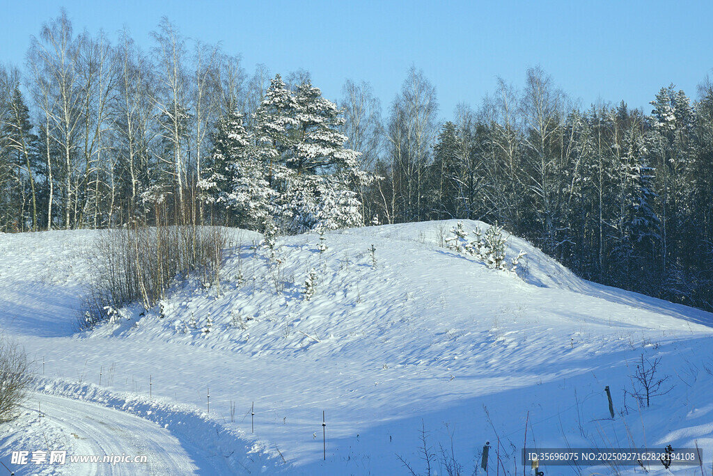 冬日雪覆山林美景
