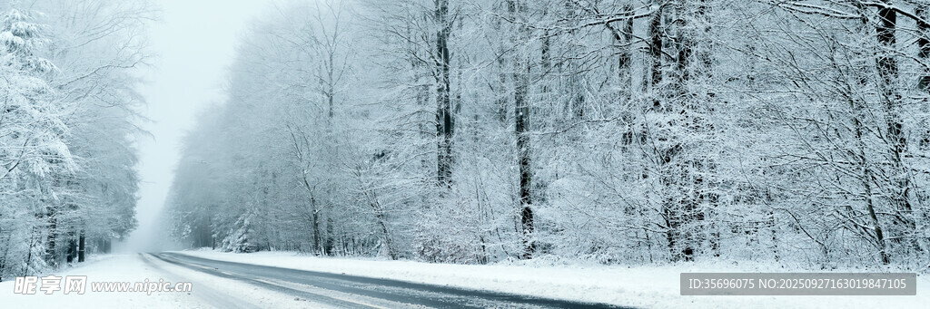 冬日雪林公路美景