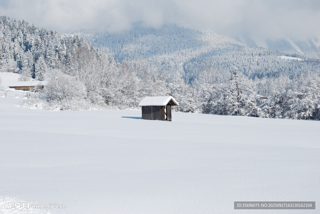 冬日雪景中的静谧小屋