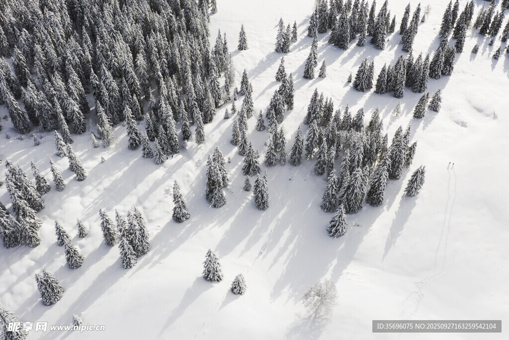 冬日雪覆山林俯瞰美景