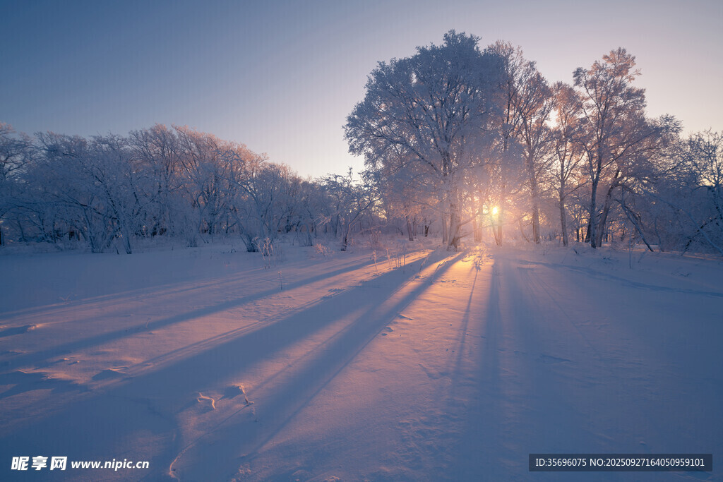 冬日雪野的日出美景