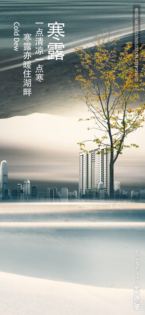 秋季寒露现代建筑旁的树木景观