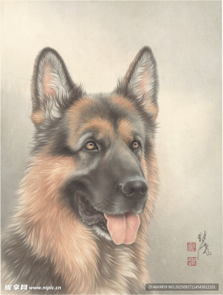 德国牧羊犬肖像画