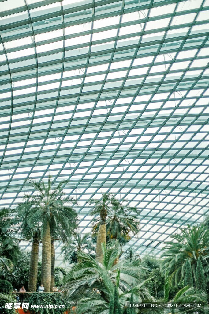 温室绿植景观