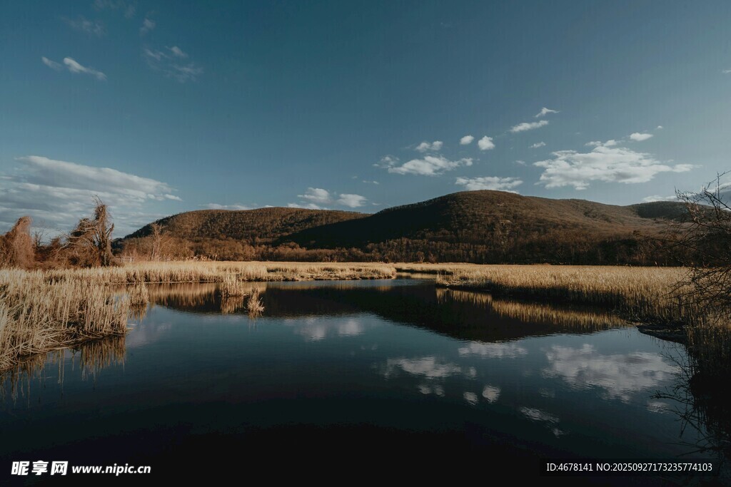 宁静湖畔的自然美景