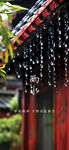 雨水节气