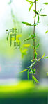 清明节气