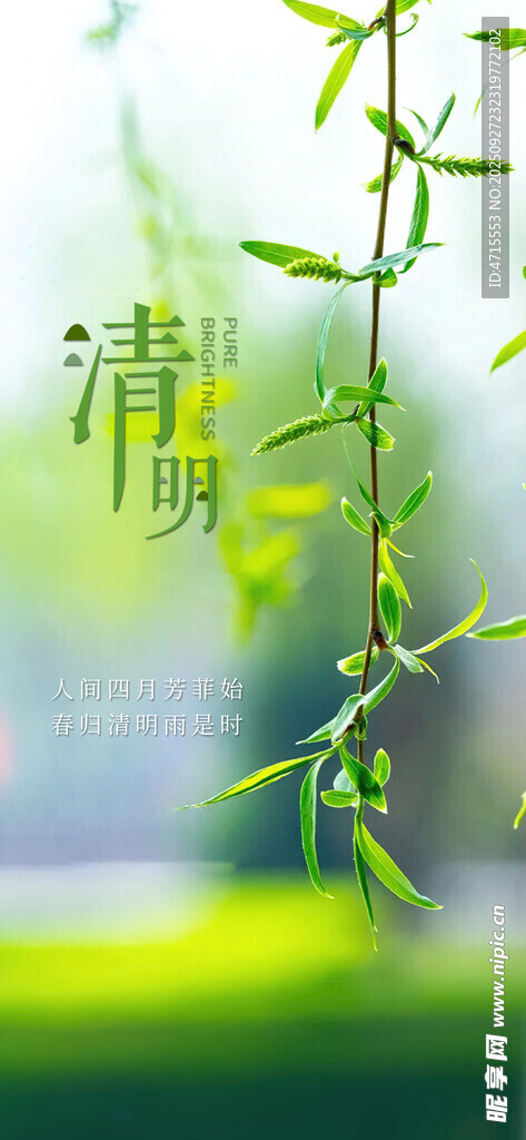 清明节气