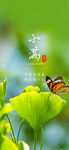 小满节气
