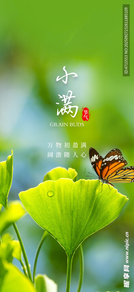 小满节气
