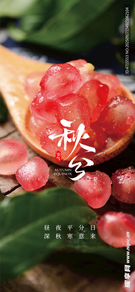 秋分节气