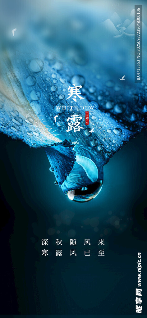 寒露节气