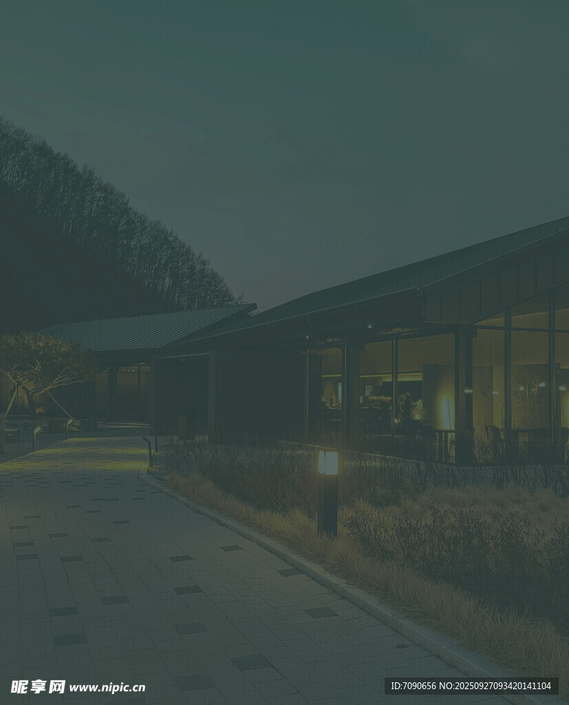 夜晚静谧的建筑庭院景观