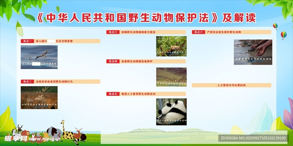 野生动物 保护法 解读