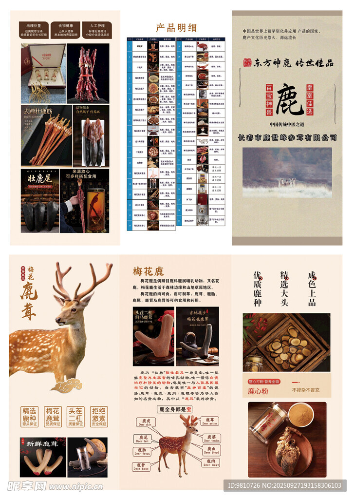 鹿茸三折页