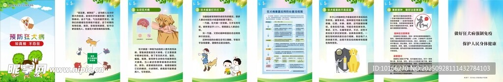 预防狂犬病  宣传手册