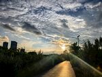 夕阳下的小径与城市天际线