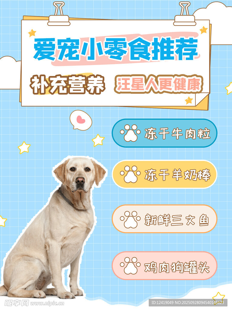 宠物小零食海报
