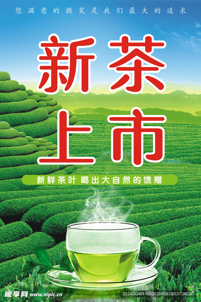 茶叶海报
