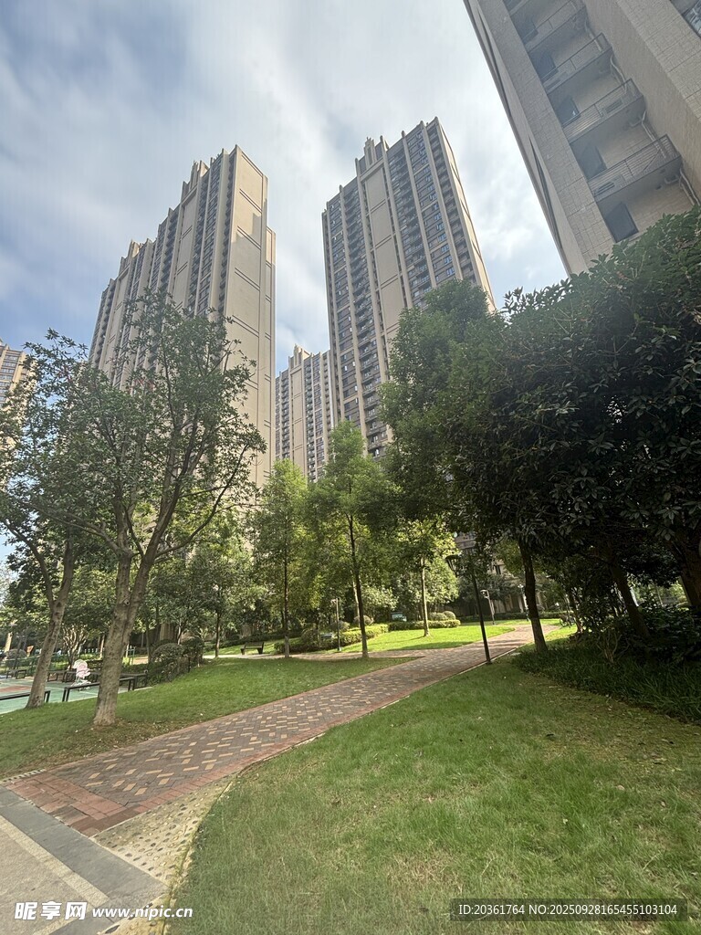 城市住宅区的绿意景观