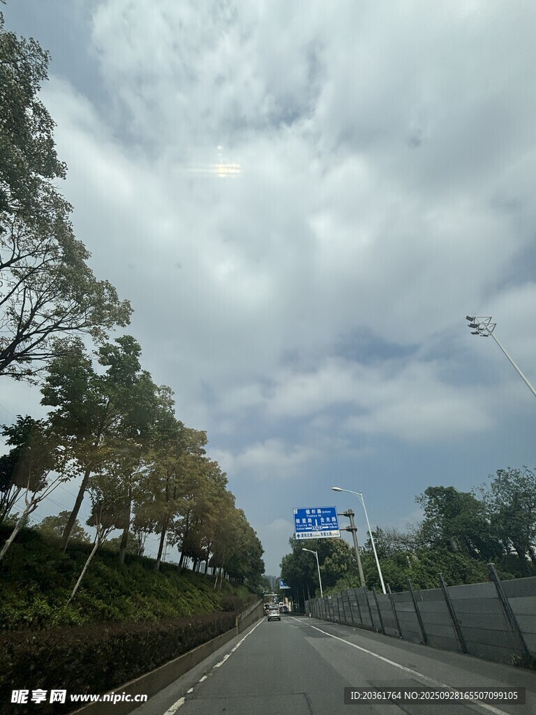 公路旁绿树成荫的风景