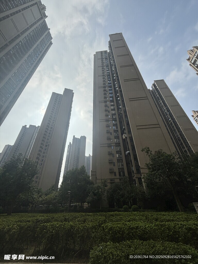 城市高楼与绿植景观