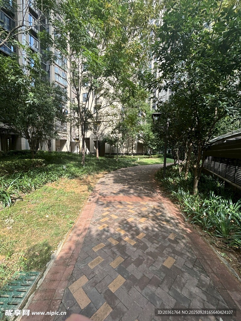 幽静庭院中的砖石小径