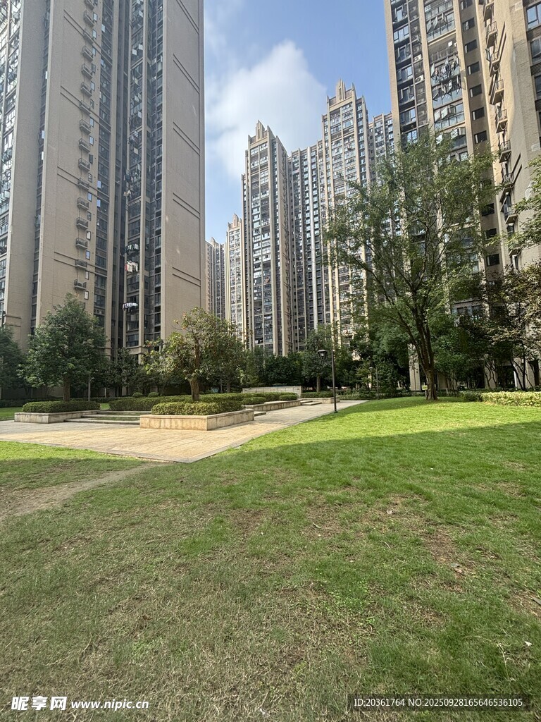 城市中的绿地与高楼景观
