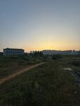 黄昏下的开阔田野景象