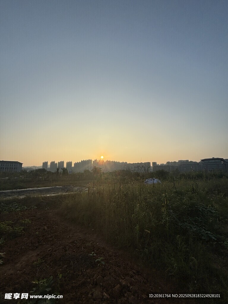 日落时分的田野风光