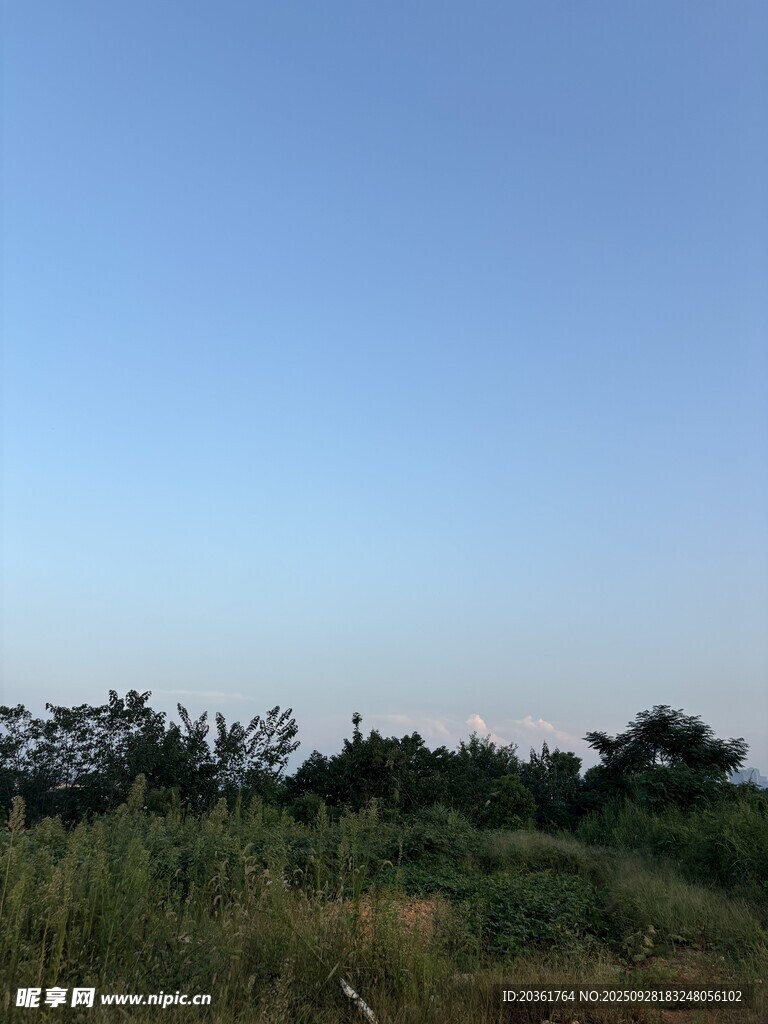 蓝天草地树木自然景观