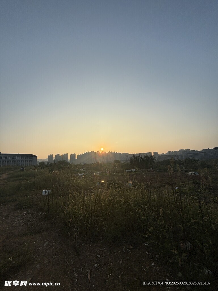 日落时分的田野风光