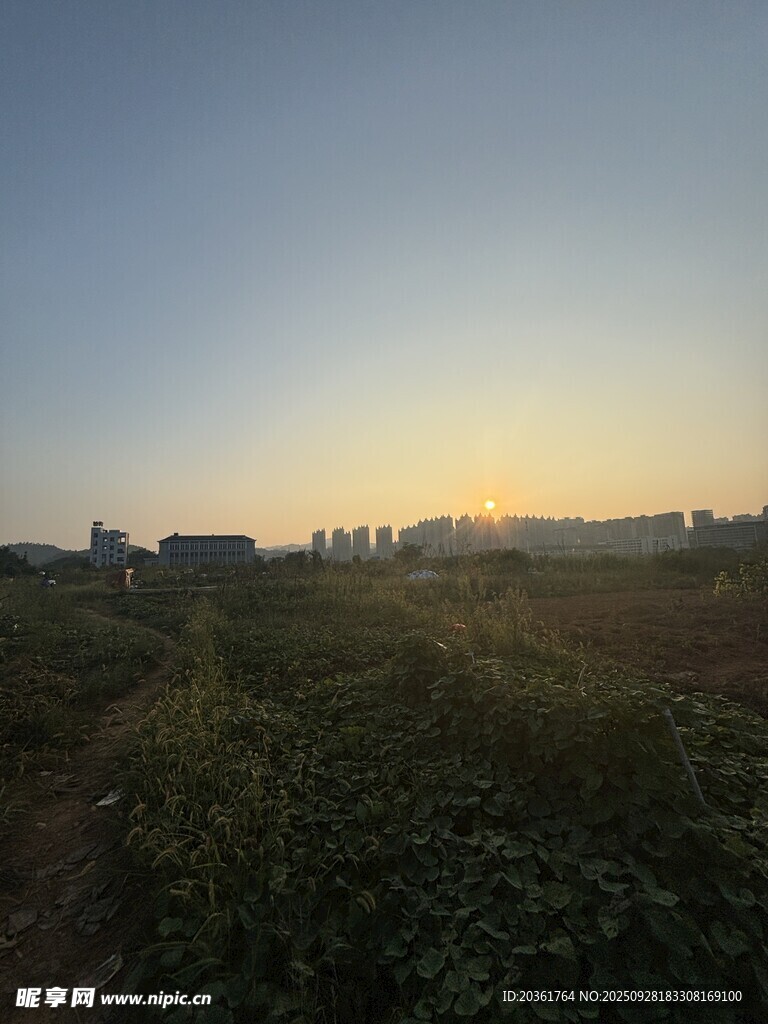田野黄昏美景