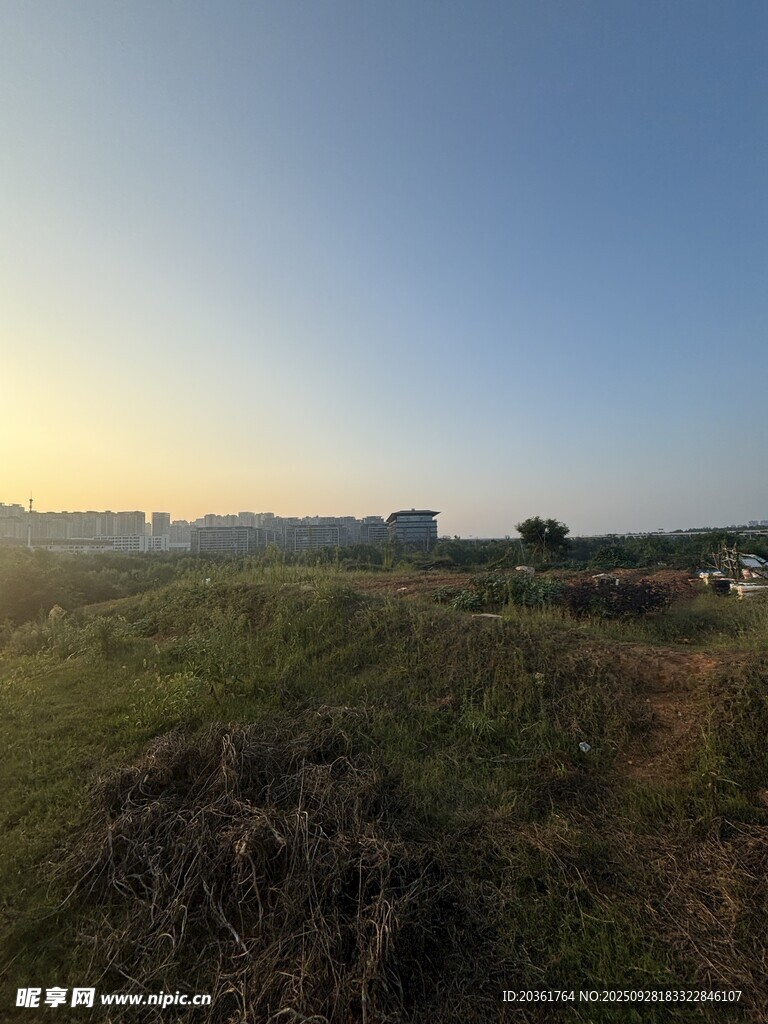 日出时分的开阔原野景色