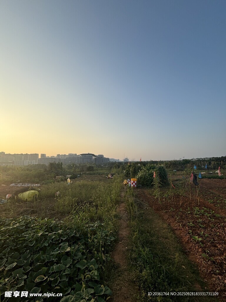 田园晨曦美景