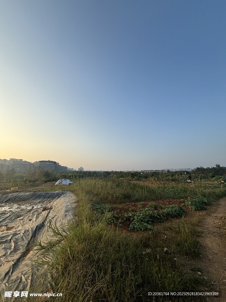 乡村旷野中的蜿蜒小路