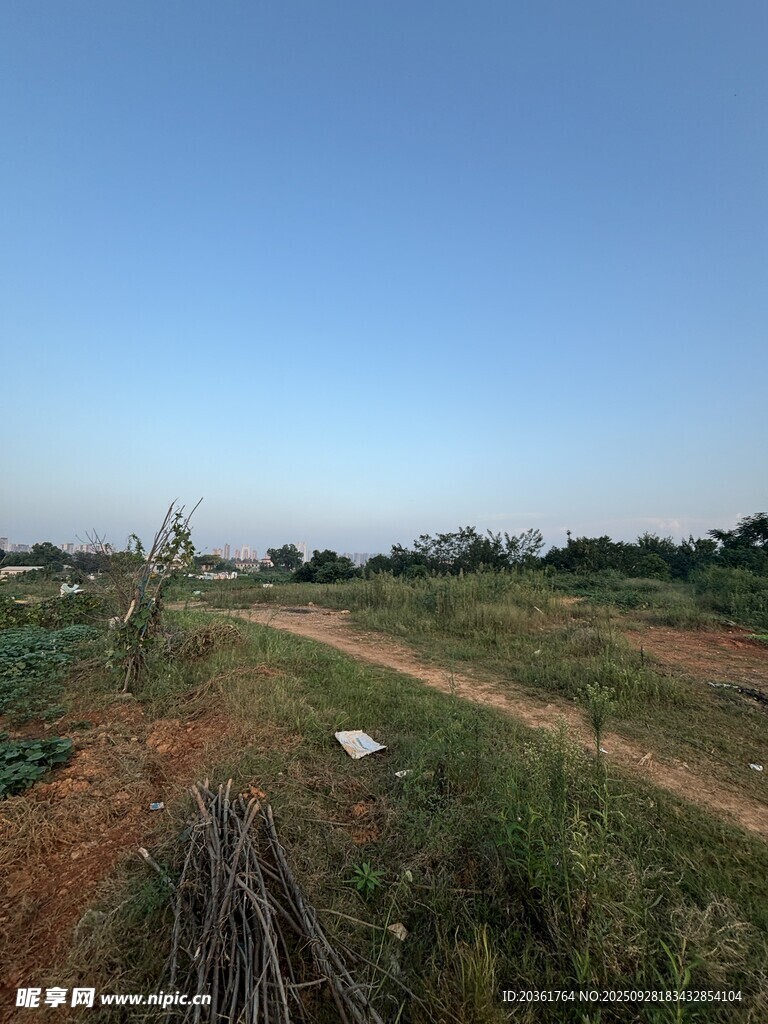 乡村田野间的土路风景