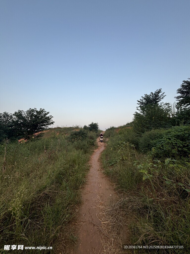 乡间小径
