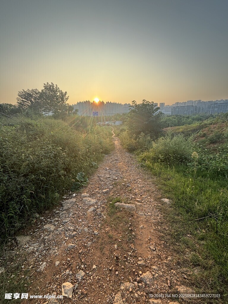 夕阳下的乡间小径
