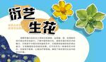 衍艺生花艺术素材展示