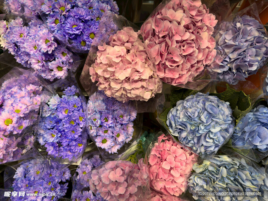 很多鲜花