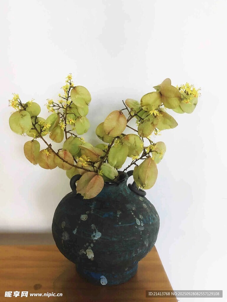 古朴花瓶插着翠绿植物