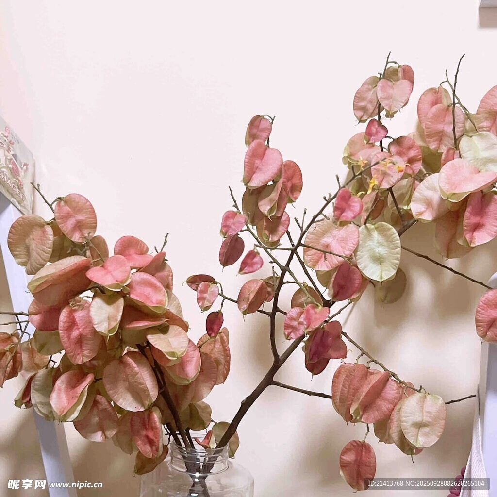粉色梦幻干花装饰摆件